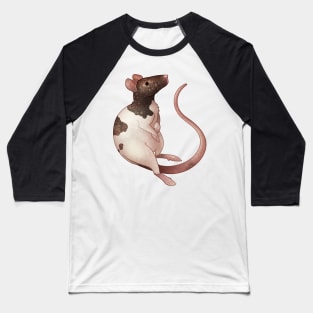 Cozy Fancy Rat Baseball T-Shirt